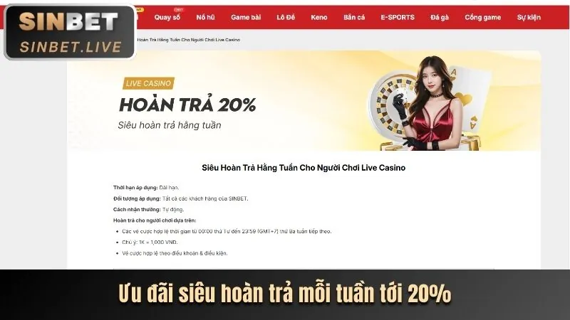 Tổng quan trò chơi slot trực tuyến